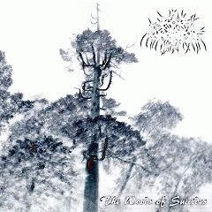 Fog Warrior : The Woods of Suicides